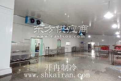 大型海鮮冷凍冷庫工程造價預(yù)算與建筑安裝工程解析