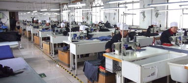 仲尼在高郵艾森絲服飾廠工作期間的養(yǎng)老保險(xiǎn)政策解析